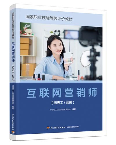 互联网销售实战指南 从初级工到五级技能提升