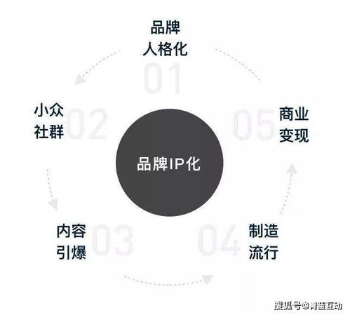 品牌IP的圈层化 互联网营销联动下的新机遇